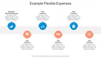 Example Flexible Expenses In Powerpoint And Google Slides Cpb