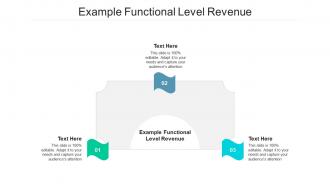 Example functional level revenue ppt powerpoint presentation outline introduction cpb