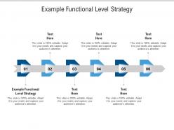 Example functional level strategy ppt powerpoint presentation styles microsoft cpb