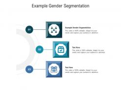 Example gender segmentation ppt powerpoint presentation inspiration outline cpb