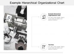 Example hierarchical organizational chart ppt powerpoint presentation icon cpb