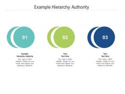 Example hierarchy authority ppt powerpoint presentation file samples cpb