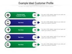 Example ideal customer profile ppt powerpoint presentation show clipart cpb