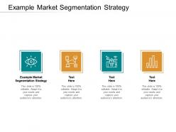 Example market segmentation strategy ppt powerpoint presentation infographic template tips cpb