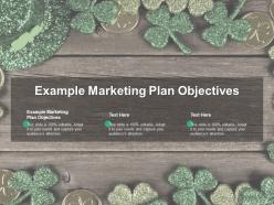 Example marketing plan objectives ppt powerpoint presentation gallery icon cpb