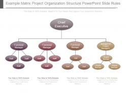 Example Matrix Project Organization Structure Powerpoint Slide Rules