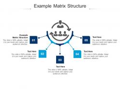 Example matrix structure ppt powerpoint presentation layouts shapes cpb