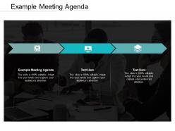 Example meeting agenda ppt powerpoint presentation icon diagrams cpb