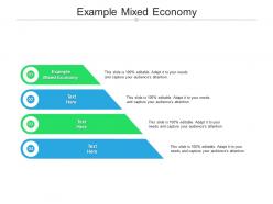 Example mixed economy ppt powerpoint presentation pictures diagrams cpb