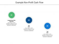 Example non profit cash flow ppt powerpoint presentation professional skills cpb