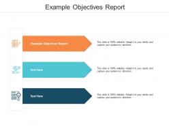 Example objectives report ppt powerpoint presentation file summary cpb