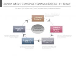 Example Of B2b Excellence Framework Sample Ppt Slides