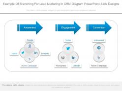 Example Of Branching For Lead Nurturing In Crm Diagram Powerpoint Slide Designs
