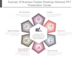 Example of business flexible roadmap attributes ppt presentation visuals