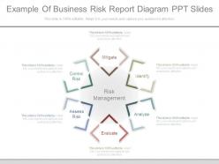Example Of Business Risk Report Diagram Ppt Slides