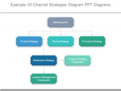 Example of channel strategies diagram ppt diagrams