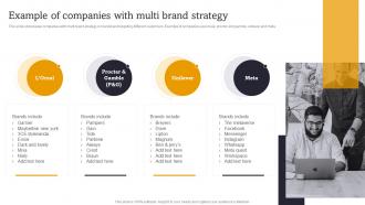 Example Of Companies With Multi Brand Launch Multiple Brands To Capture Market Share