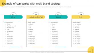Example Of Companies With Multi Brand Strategy Brand Architecture Strategy For Multiple