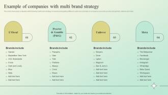 Example Of Companies With Multi Brand Strategy Building A Brand Identity For Companies