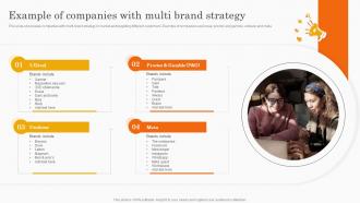 Example Of Companies With Multi Brand Strategy Co Branding Strategy For Product Awareness