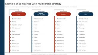 Example Of Companies With Multi Brand Strategy Marketing Strategy To Promote Multiple