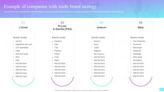 Example Of Companies With Multi Brand Strategy Multi Brand Strategies For Different Market