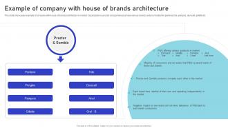 Example Of Company With House Of Brands Multiple Brands Launch Strategy In Target