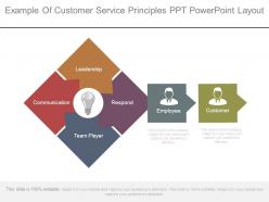 Example of customer service principles ppt powerpoint layout