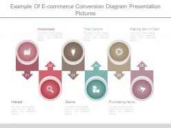 Example of e commerce conversion diagram presentation pictures