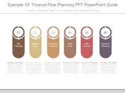 Example Of Finance Flow Planning Ppt Powerpoint Guide
