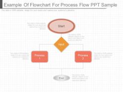 Example of flowchart for process flow ppt sample