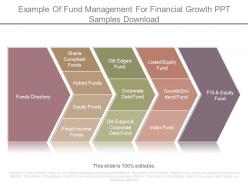 Example of fund management for financial growth ppt samples download
