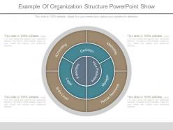 Example of organization structure powerpoint show