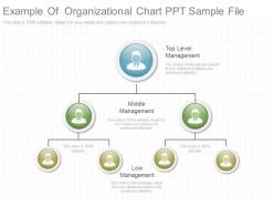 Example Of Organizational Chart Ppt Sample File