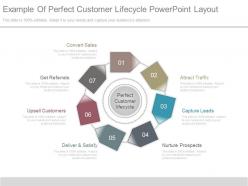 Example of perfect customer lifecycle powerpoint layout