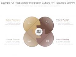 Example of post merger integration culture ppt example of ppt