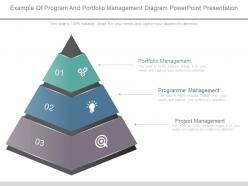Example of program and portfolio management diagram powerpoint presentation