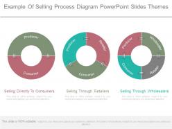 Example of selling process diagram powerpoint slides themes