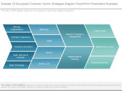 Example of successful customer centric strategies diagram powerpoint presentation examples