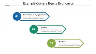 Example owners equity economics ppt powerpoint presentation gallery clipart images cpb