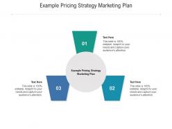 Example pricing strategy marketing plan ppt powerpoint presentation infographic template example cpb