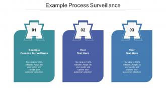 Example Process Surveillance Ppt Powerpoint Presentation Infographic Template Cpb