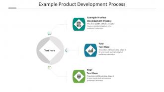 Example product development process ppt powerpoint presentation icon smartart cpb