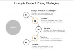 Example product pricing strategies ppt powerpoint presentation visual aids professional cpb