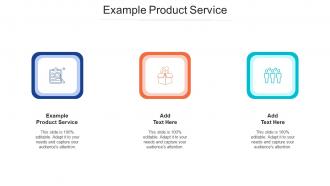 Example Product Service Ppt Powerpoint Presentation Gallery Deck Cpb