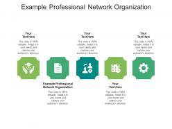 Example professional network organization ppt powerpoint presentation icon elements cpb