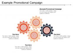 Example promotional campaign ppt powerpoint presentation gallery layouts cpb