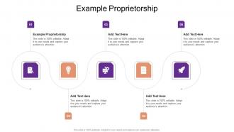 Example Proprietorship In Powerpoint And Google Slides Cpb