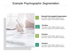 Example psychographic segmentation ppt powerpoint presentation summary cpb