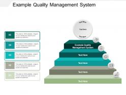Example quality management system ppt powerpoint presentation layouts tips cpb
